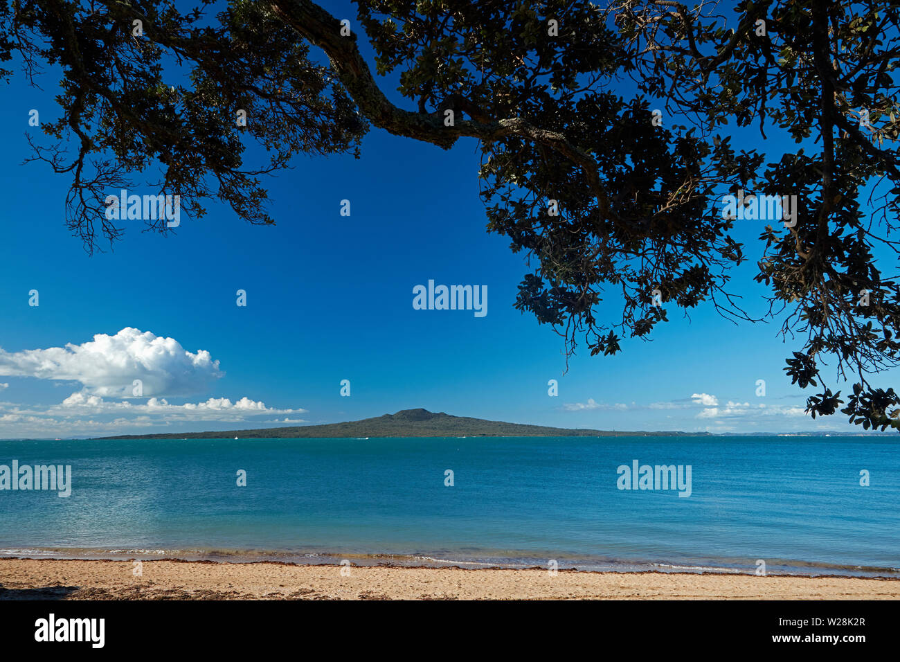 Spiaggia di Cheltenham e Rangitoto Island, Devonport, Auckland, Isola del nord, Nuova Zelanda Foto Stock