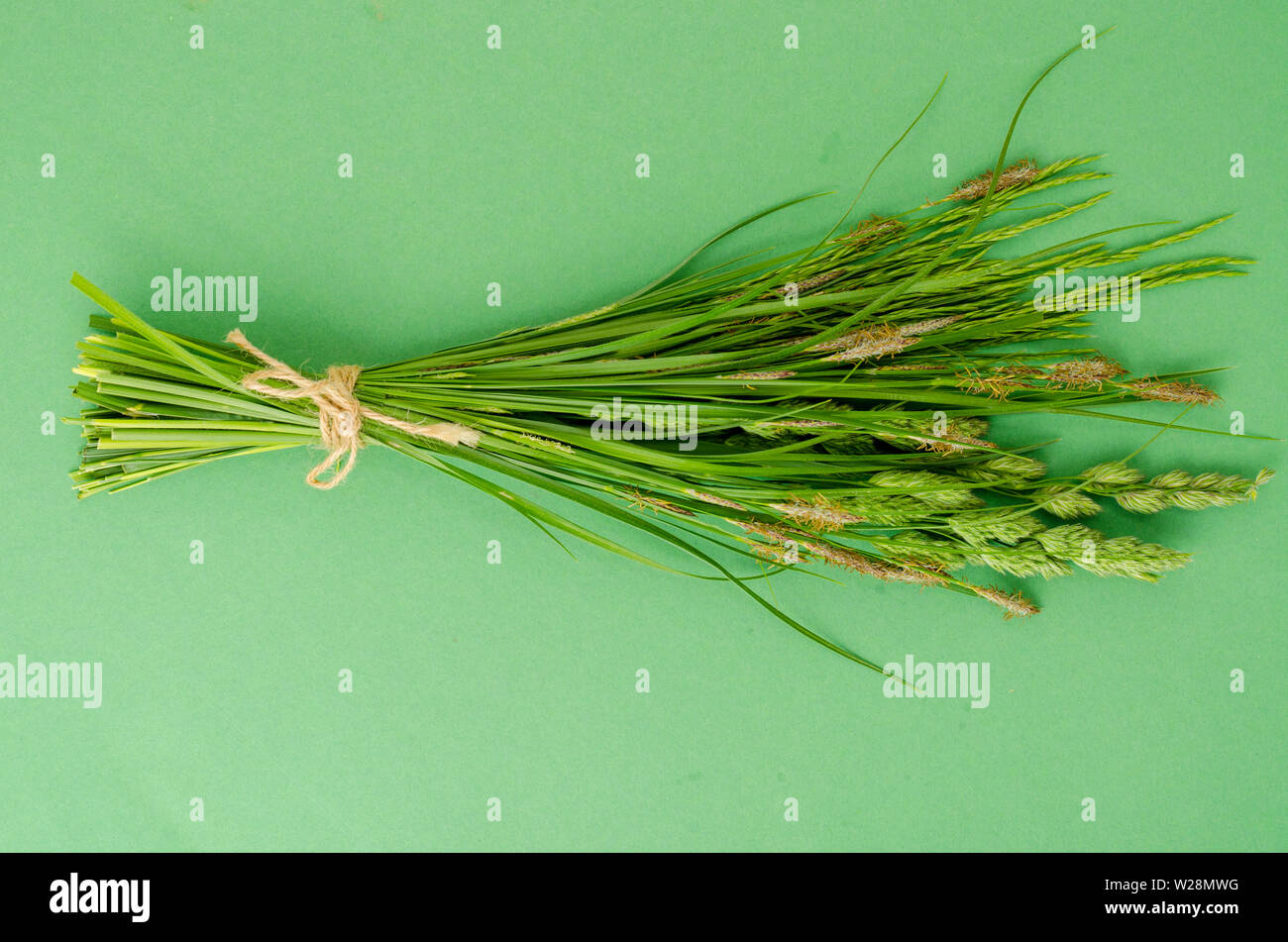 Mazzetto di erbe selvatiche su sfondo chiaro. Foto Stock