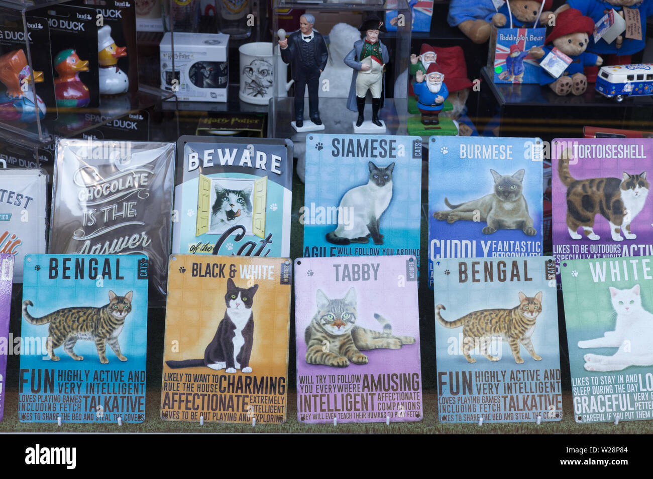 Cane e gatto placche in una finestra del negozio Foto Stock