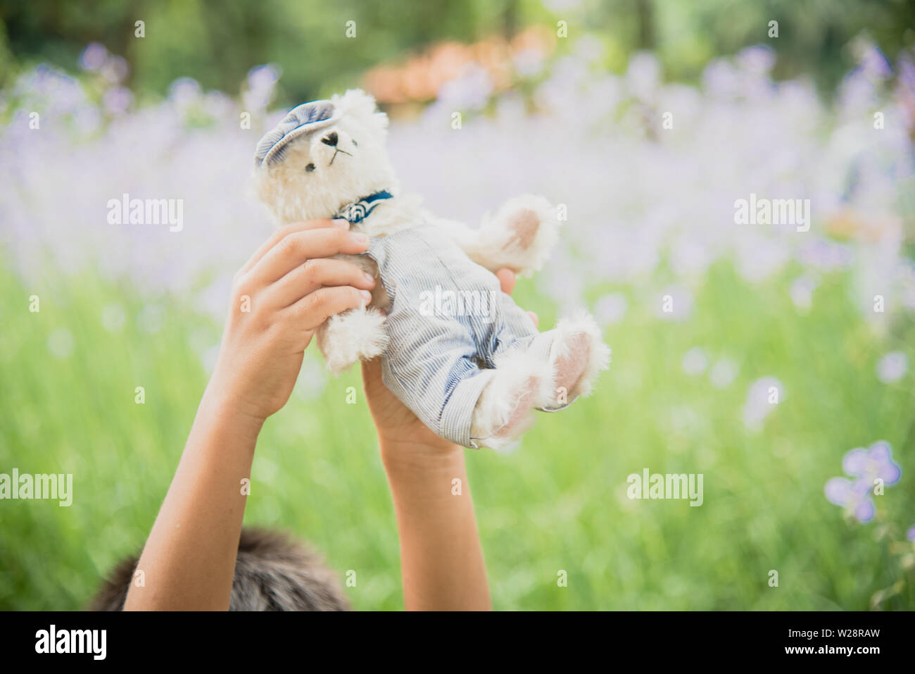 Brillanti foto all'aperto di orsacchiotto seduto sul cantiere al parco con il fiore bianco e verde erbe Foto Stock