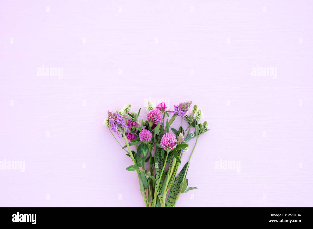 Bouquet di fiori selvatici su una luce sfondo rosa close-up. Dolce sfondo romantico, rosa e trifoglio bianco. Vista da sopra. Foto Stock