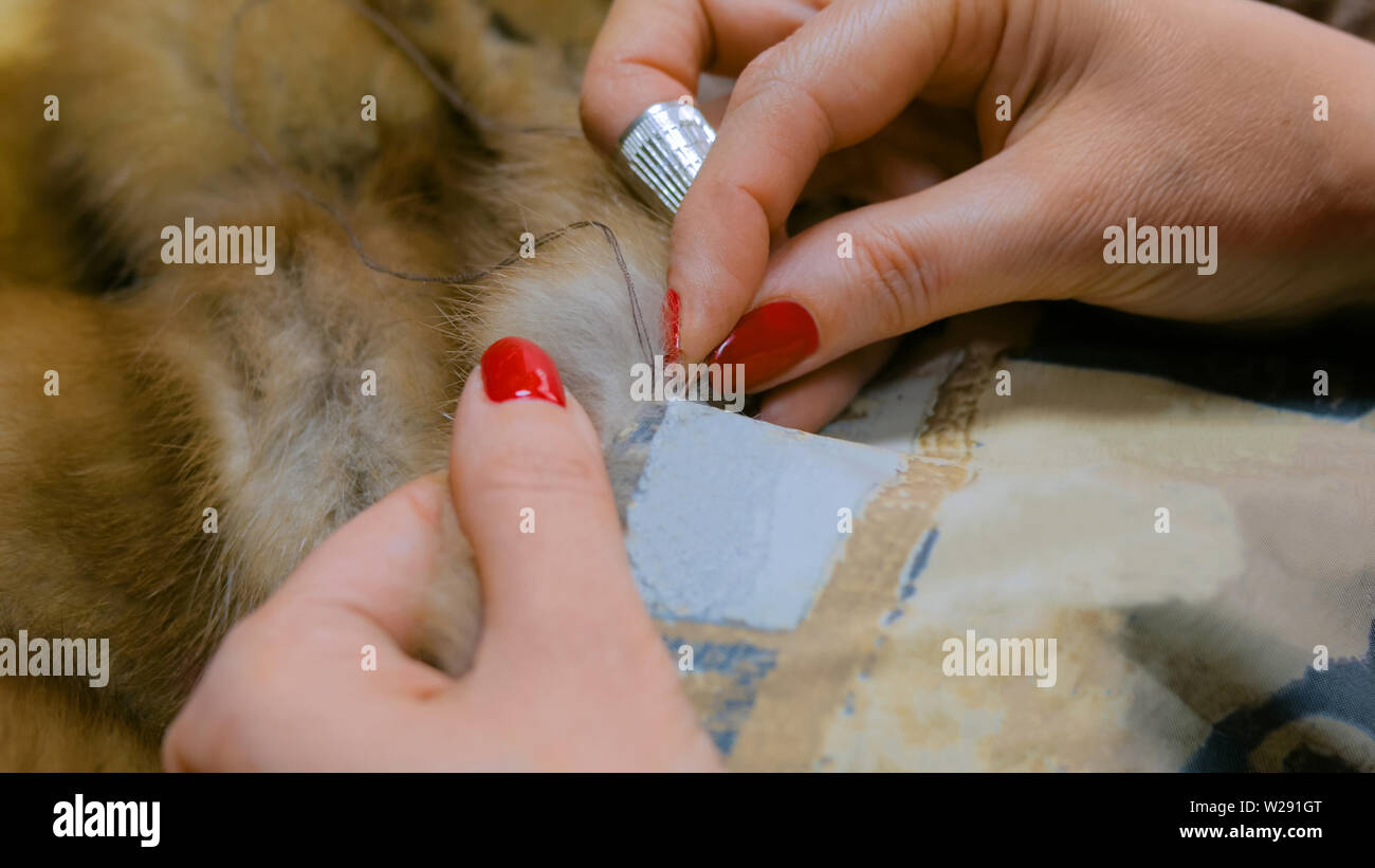 Personalizzare la riparazione di pelliccia Foto Stock
