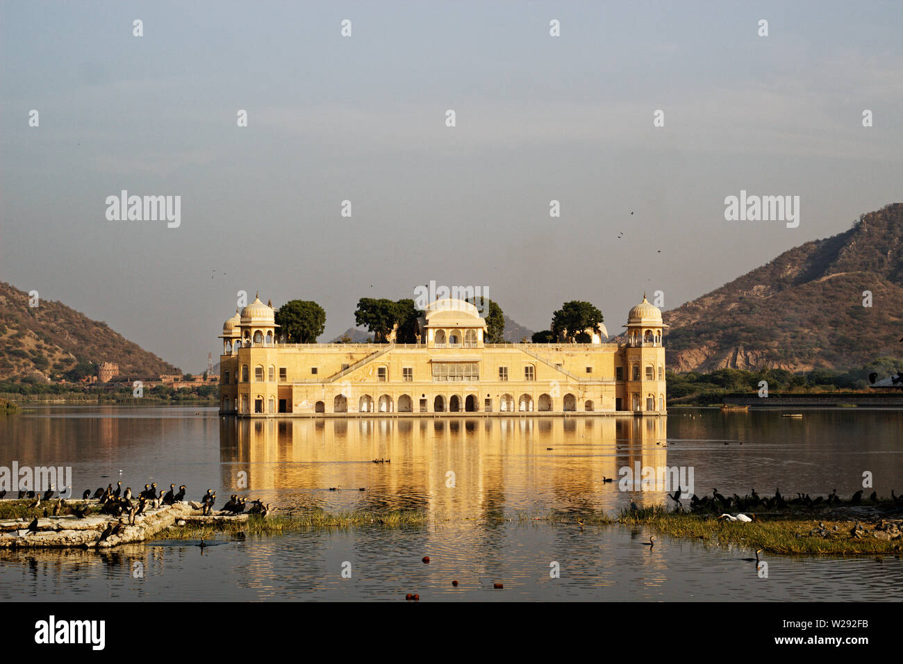 Jal Mahal di Jaipur, Rajasthan, India Foto Stock