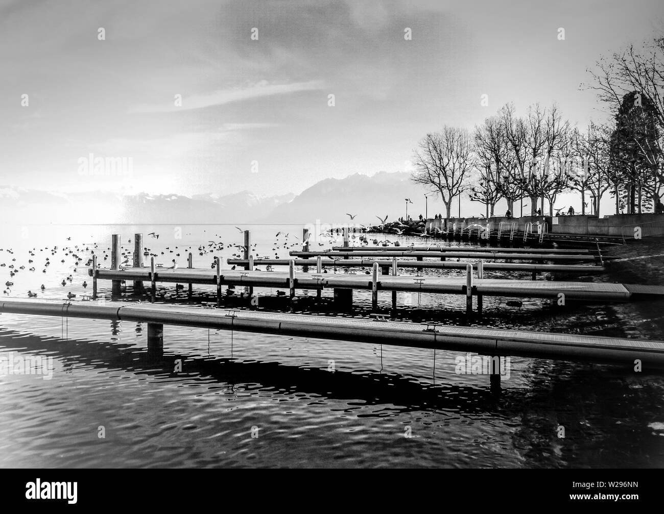 Foto nel lago Leman a Losanna Foto Stock