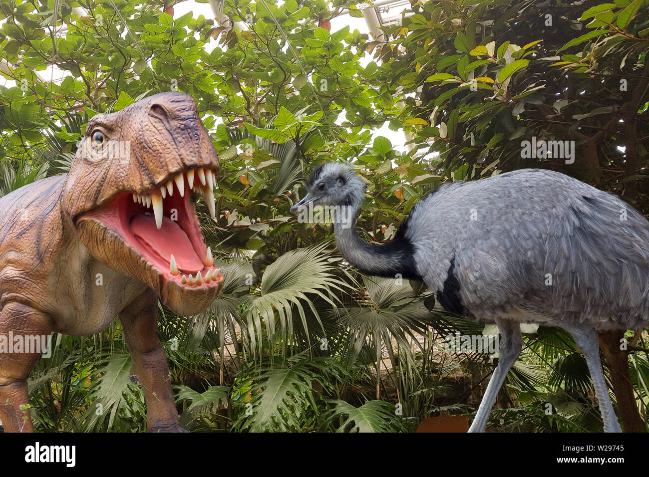Grande nero struzzo e un dinosauro. Close-up contro lo sfondo di una  giungla Foto stock - Alamy