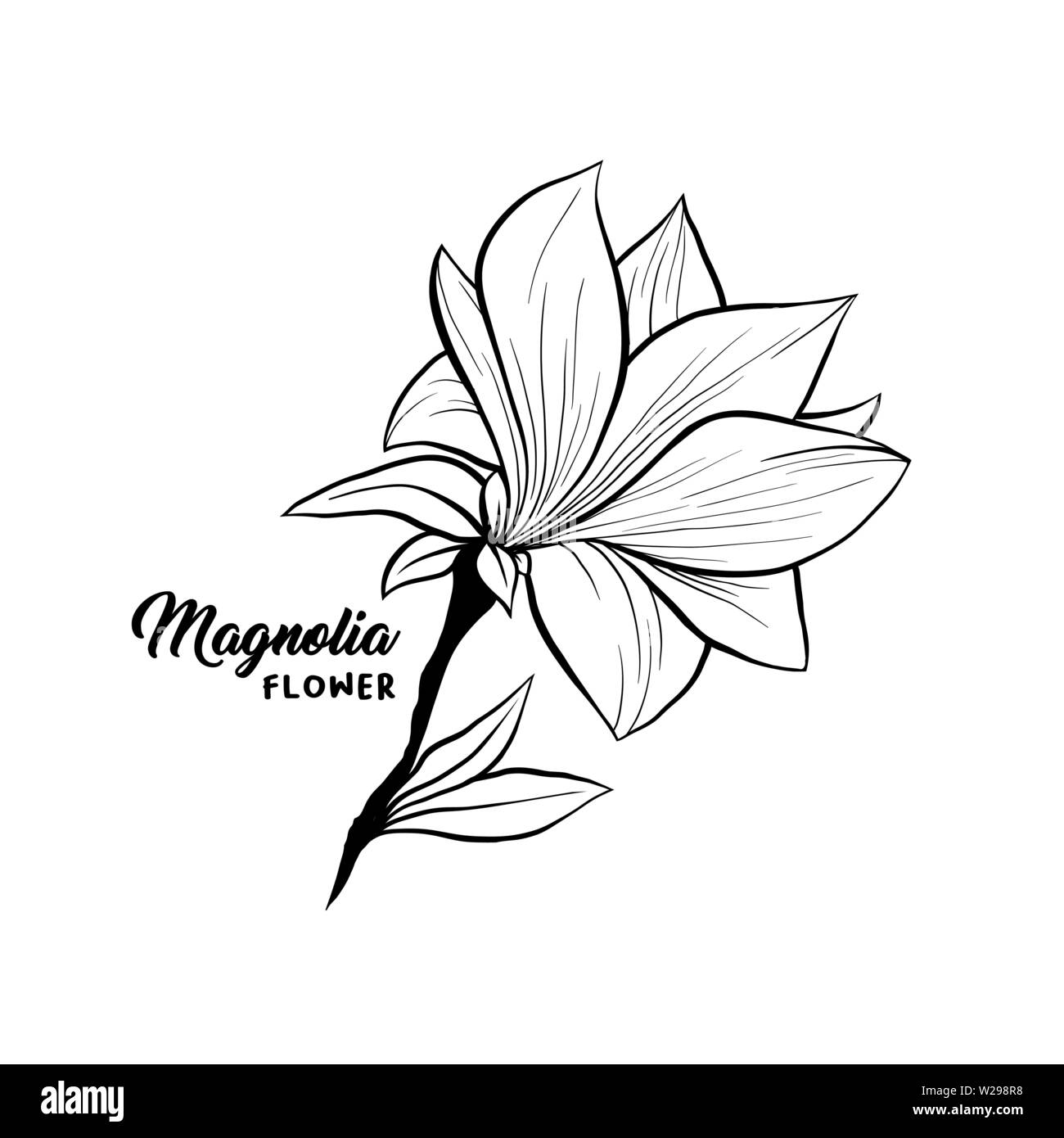 Fiore di magnolia in fiore, bella casa decor e il design degli interni, isolato illustrazione vettore. Profilo floreale disegno del contorno per il laser cuttling file. Fiore di primavera. Millefiori impianto botanico. Illustrazione Vettoriale