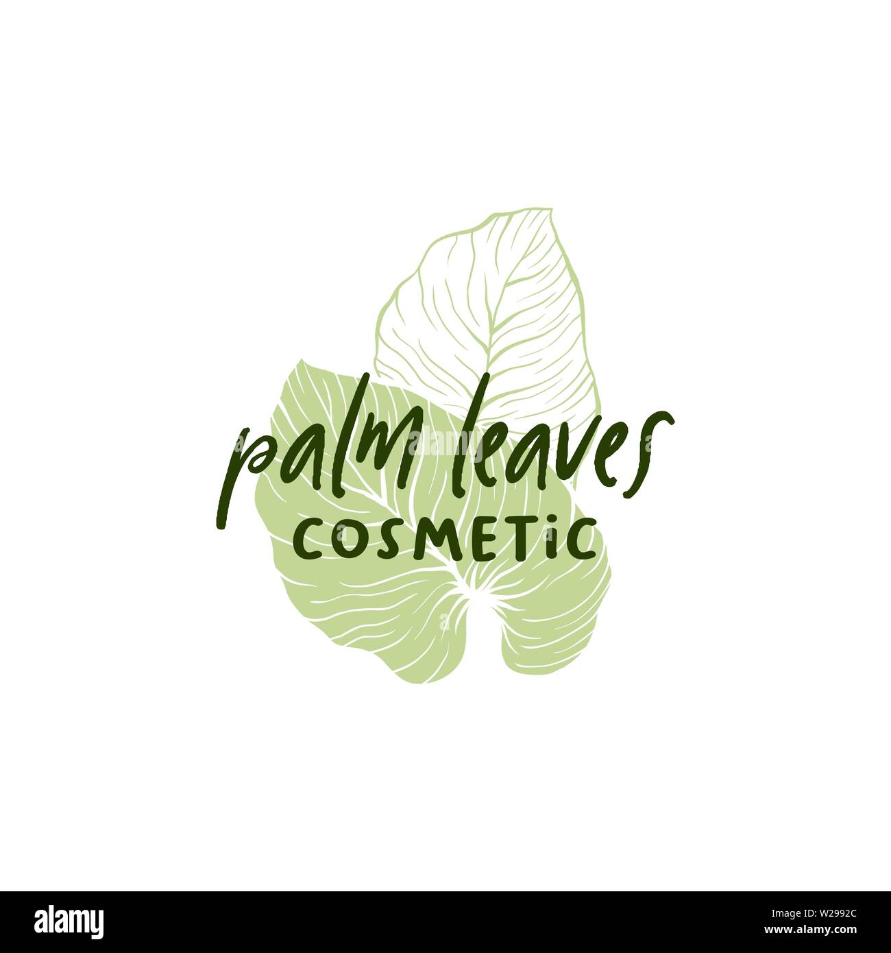 Foglie di palmo cosmetici disegnati a mano modello logo. Silhouette e contorno foglie di monstera disegno. Lettere scritte a mano e esotici leafage illustrazione. Cura della Pelle logotipo shop design lineare Illustrazione Vettoriale