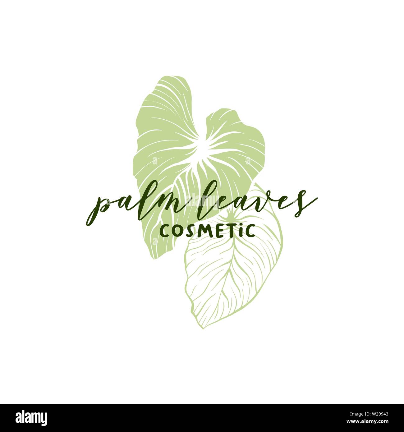 Foglie di palmo cosmetici disegnati a mano modello logo. Silhouette e contorno foglie di monstera disegno. Lettere scritte a mano e esotici leafage illustrazione. Cura della Pelle logotipo shop design lineare Illustrazione Vettoriale