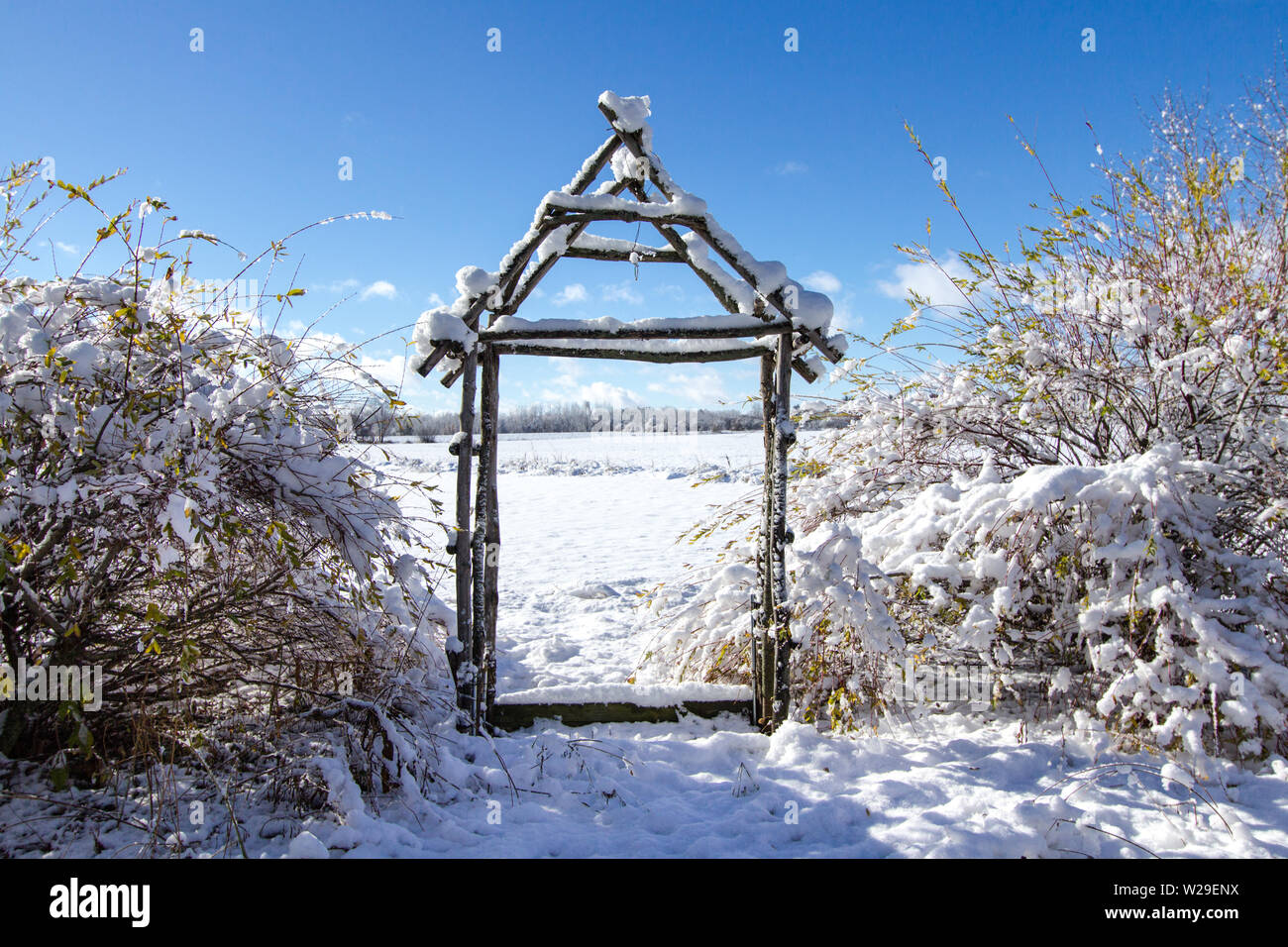 Giardino d'inverno il paesaggio. In legno rustico arbor circondata da piante e alberi polmonato sotto un fresco di neve caduti Foto Stock