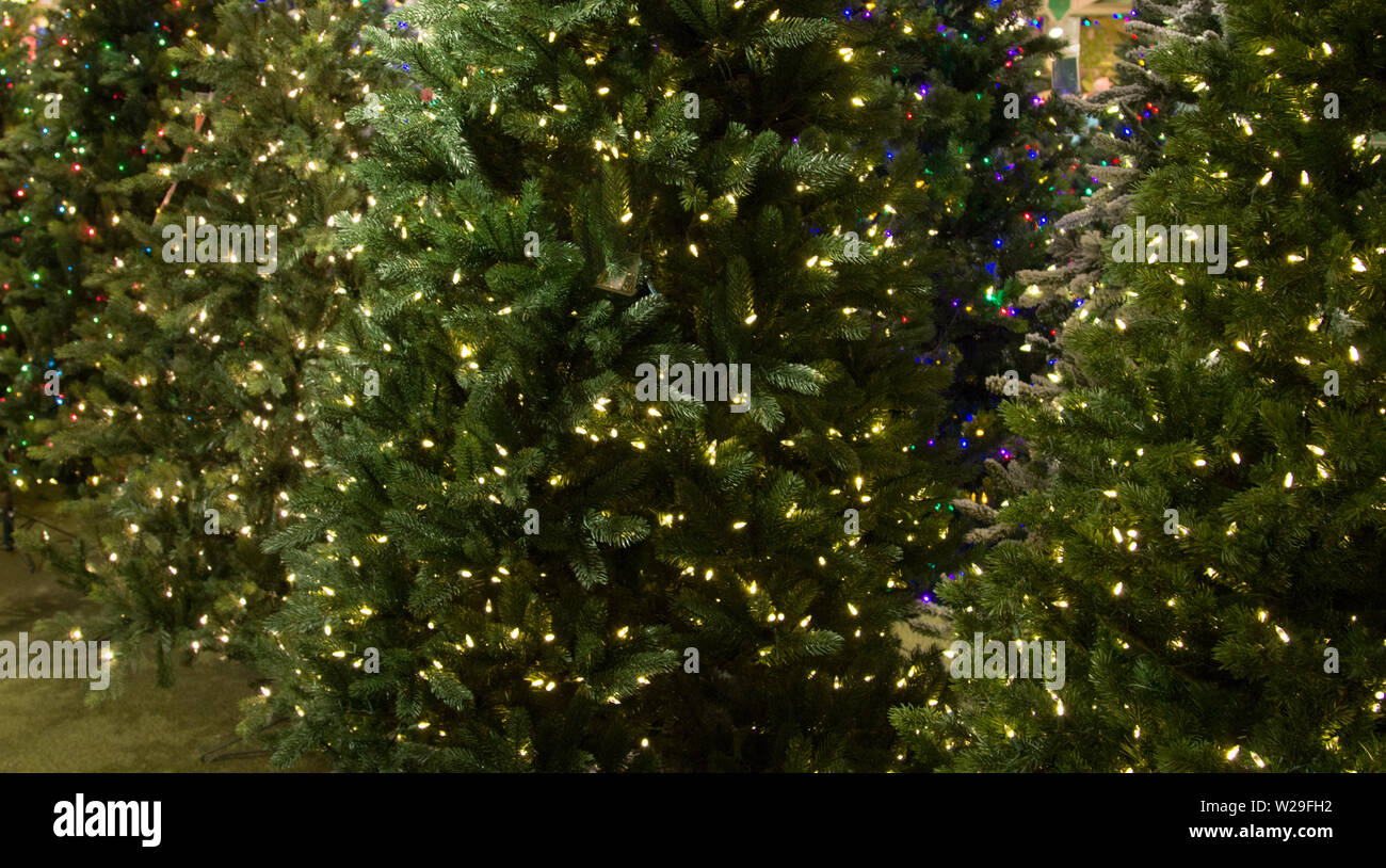 Rilevare il perfetto albero di Natale. Fila di illuminata artificiale alberi di Natale per la vendita Foto Stock