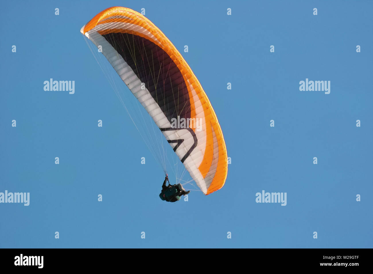 Parapendio, parapendio in volo, vista dal basso Foto Stock