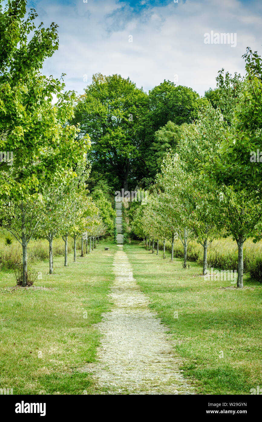 Natura paesaggio con colline e alberi e percorso a piedi Foto Stock