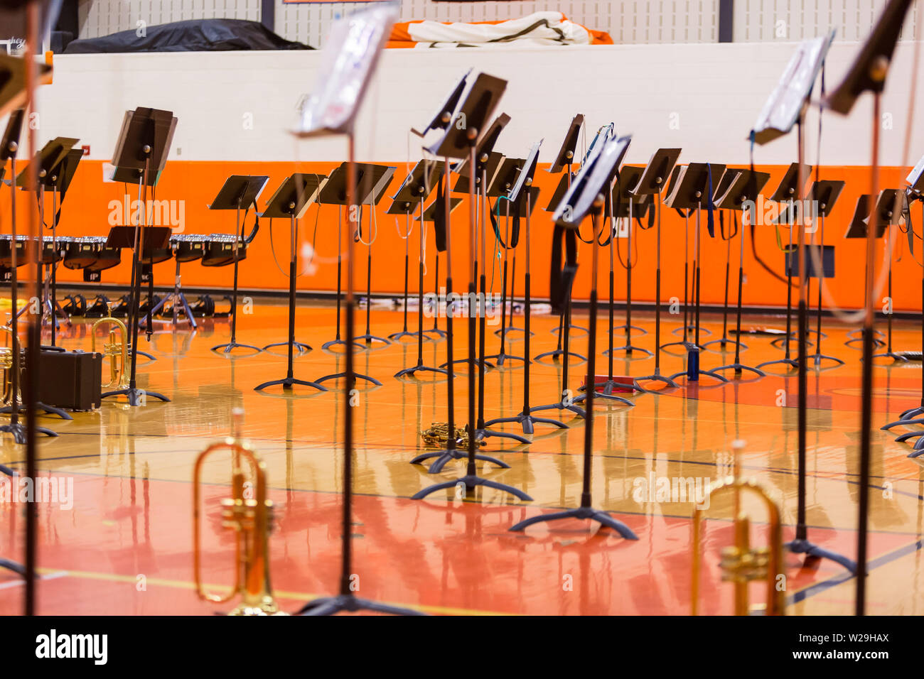 Una foresta di musica si erge tutti i preparati per il concerto Foto Stock