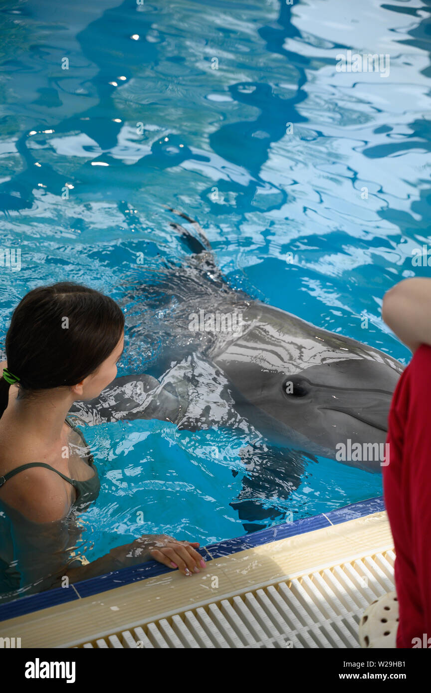 Giovane bella bruna donna in costume da bagno nuota e gioca con un divertente mare Grazioso delfino. Resto emotiva nel parco acquatico. emozioni positive, organi giurisdi Foto Stock
