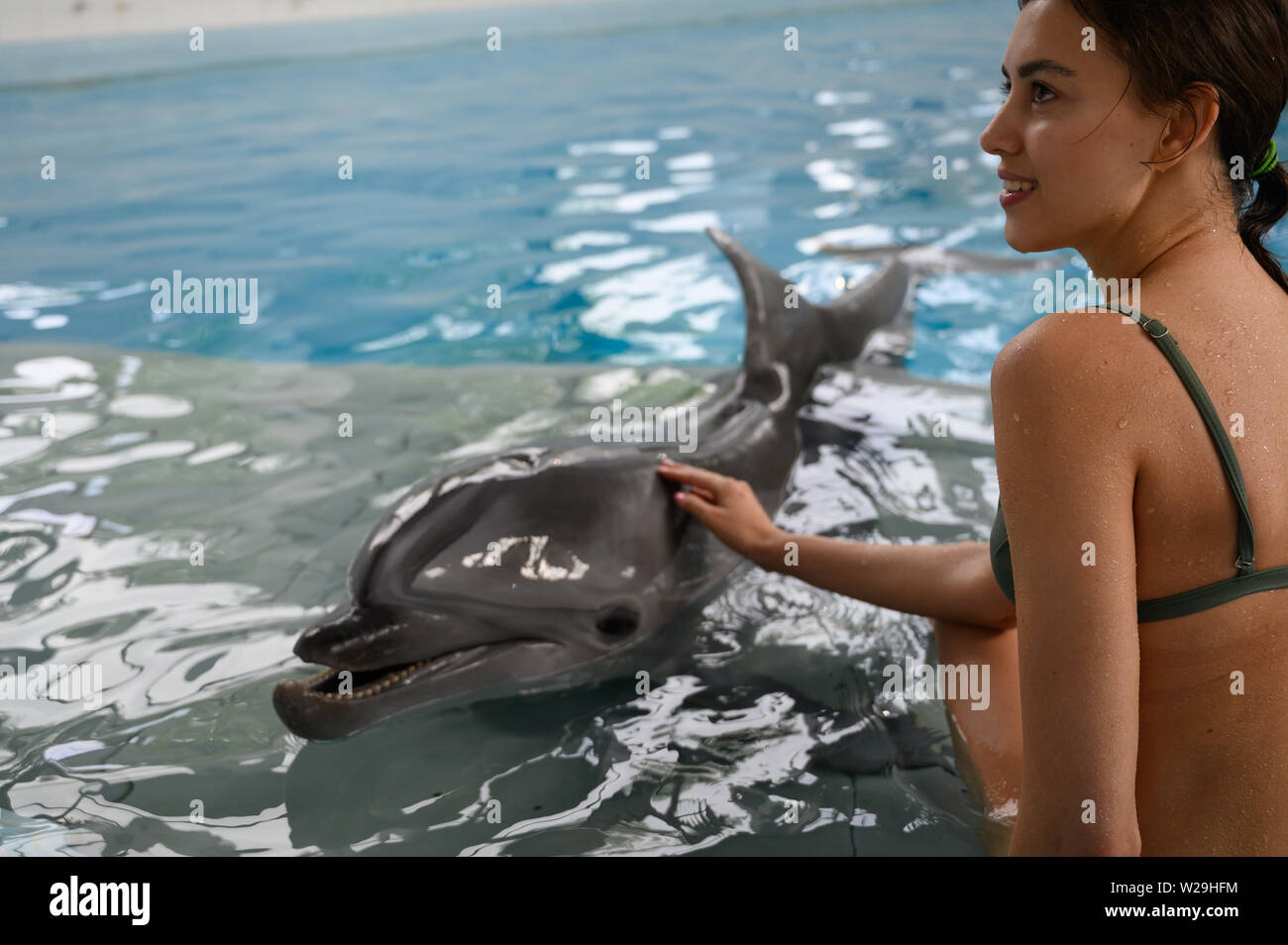 Giovane bella bruna donna in costume da bagno nuota e gioca con un divertente mare Grazioso delfino. Resto emotiva nel parco acquatico. emozioni positive, organi giurisdi Foto Stock