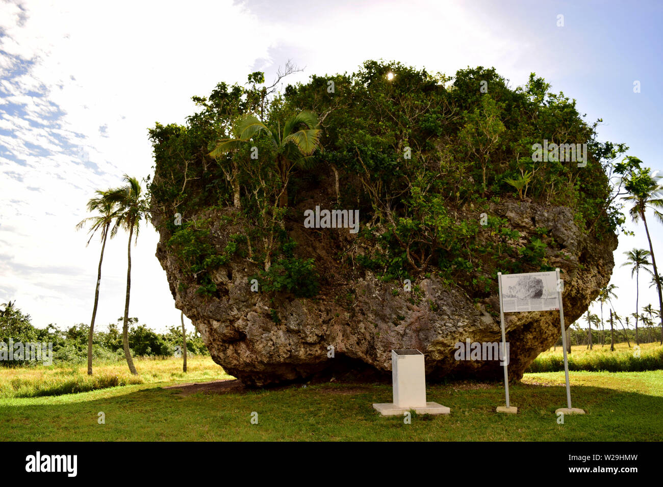 Tsunami rock, Tongatapu, Tonga Foto Stock