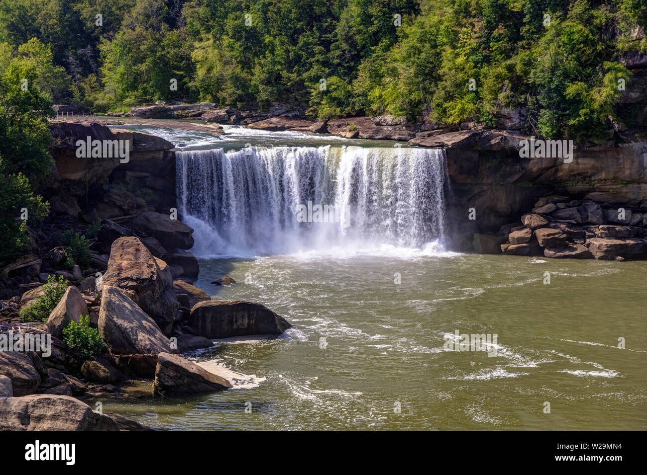 Cumberland cade nel Kentucky. Cumberland cade nel Corbin, Kentucky è uno dei più grandi cascate ad est del Mississippi Foto Stock