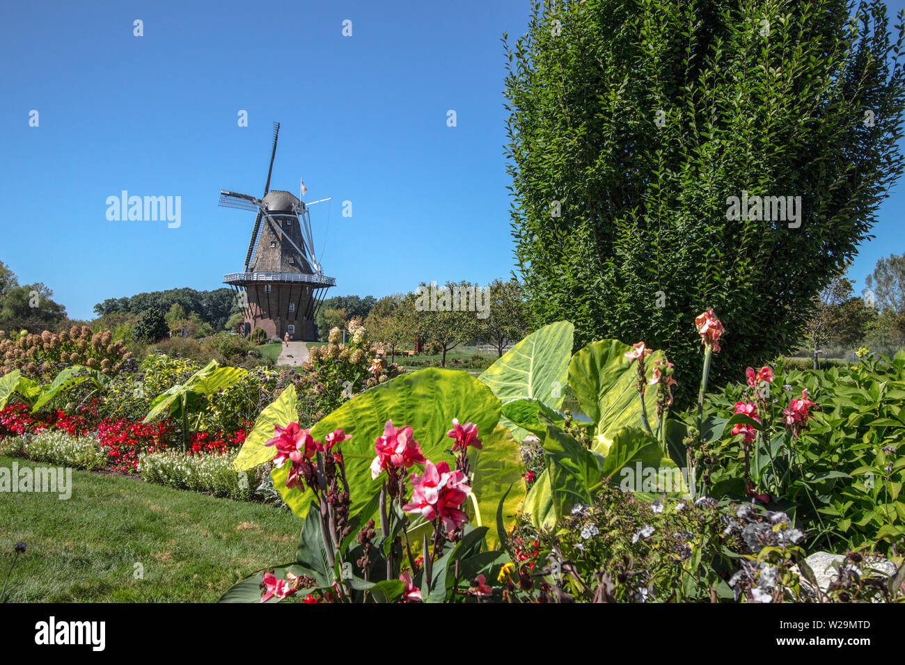 Holland Michigan Mulino a vento olandese. Il più antico autentico mulino a vento olandese in America si trova in Olanda, Michigan è il fulcro Tulip Ti Foto Stock