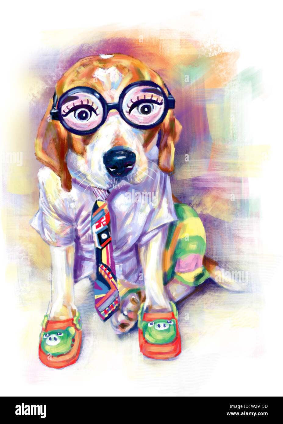 Adorabili beagle indossare costumi divertenti,studente uniforme, cravatta, colorato pantaloni corti, carino scarpa e grande giocattolo degli occhiali sulla seduta pongono con colorati bac Foto Stock