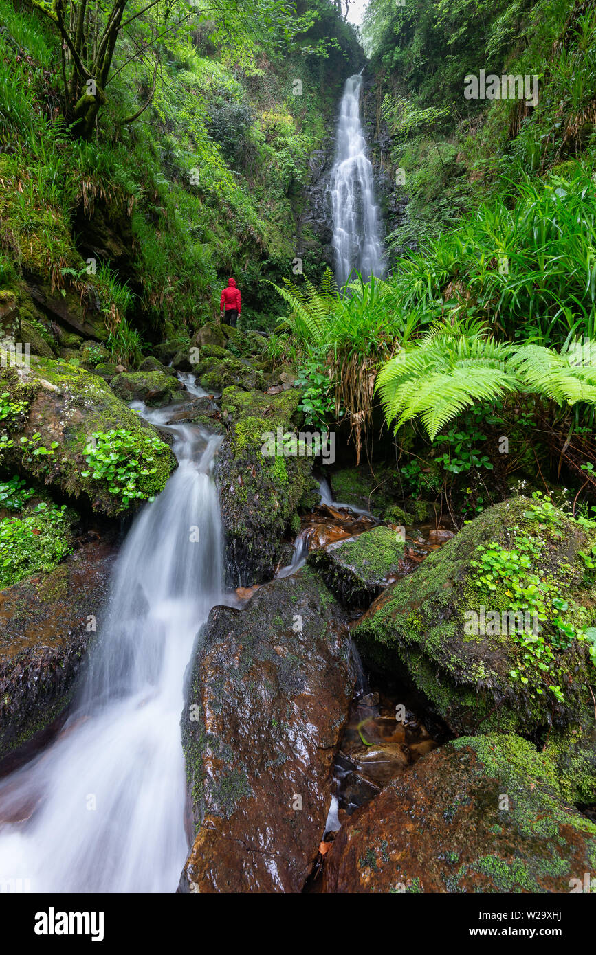 Cascata di Belaustegi foresta di faggio, Gorbea Parco Naturale, Vizcaya, Spagna Foto Stock