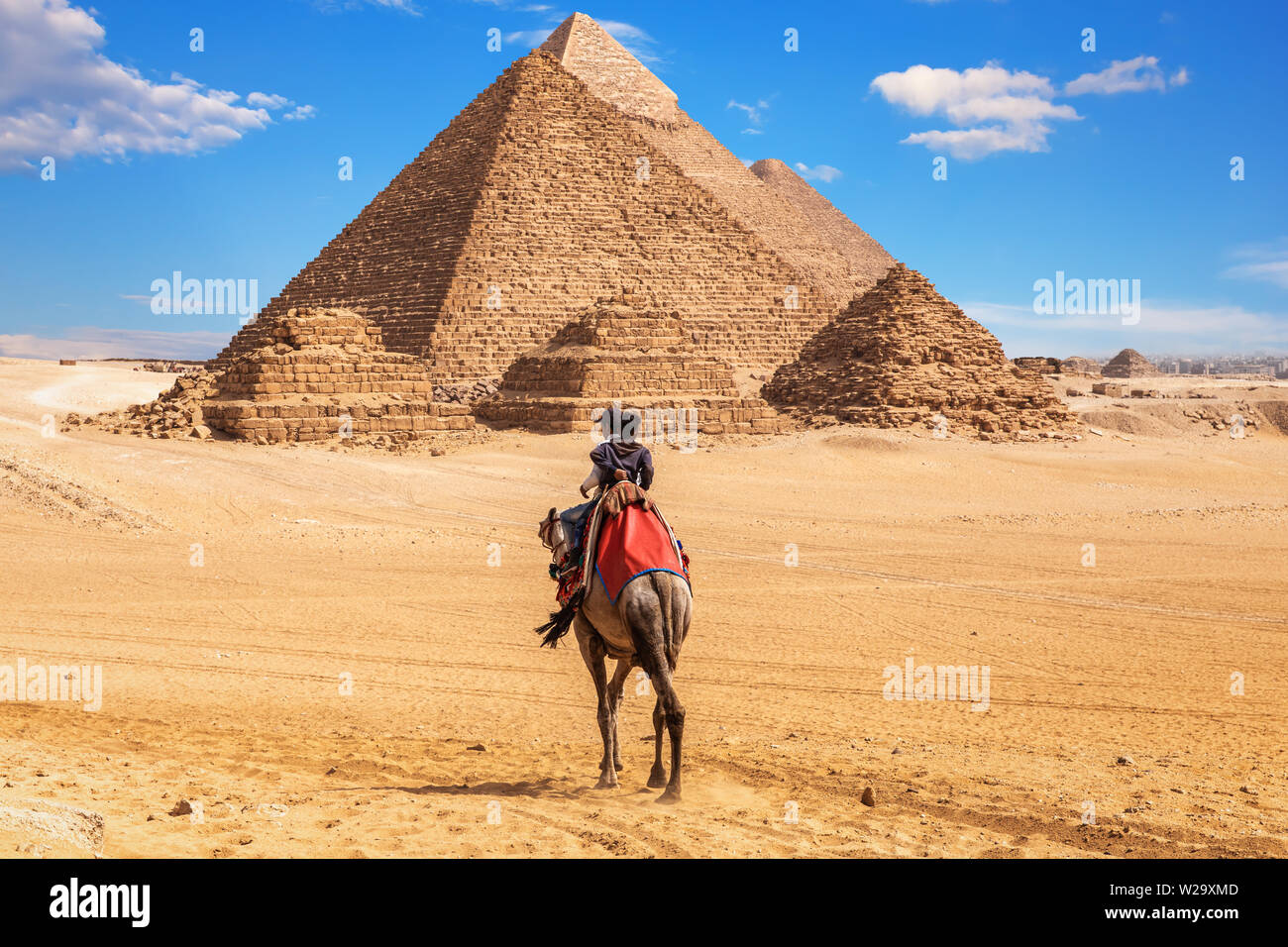 Gli egiziani sui cammelli vicino al complesso delle Piramidi di Giza in Egitto Foto Stock