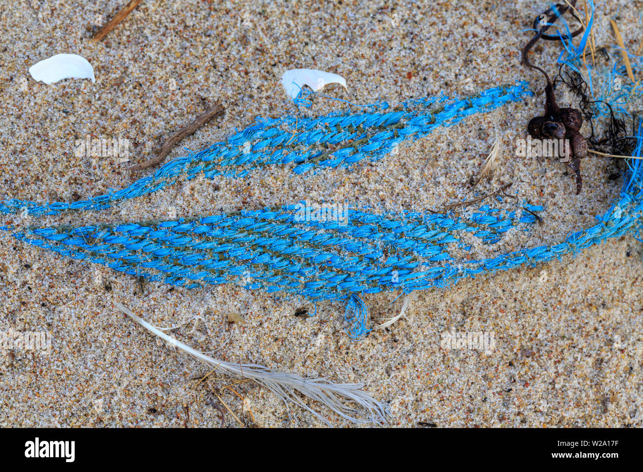Inquinamento Ambientale - un vecchio blu net giacente su una spiaggia Foto Stock