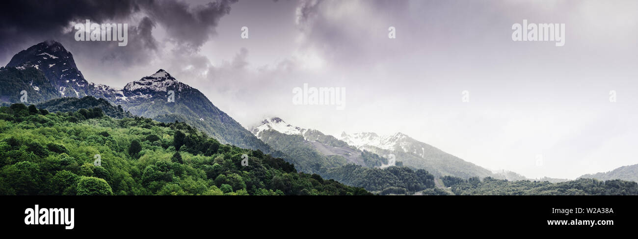 Foreste di montagna e nuvole Foto Stock