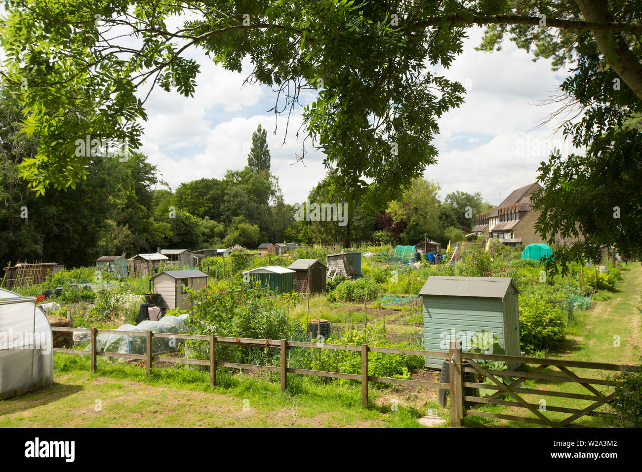 Allotti dietro il Giardino della memoria nella città di Gillingham, Dorset. Dorset Inghilterra Regno Unito GB Foto Stock