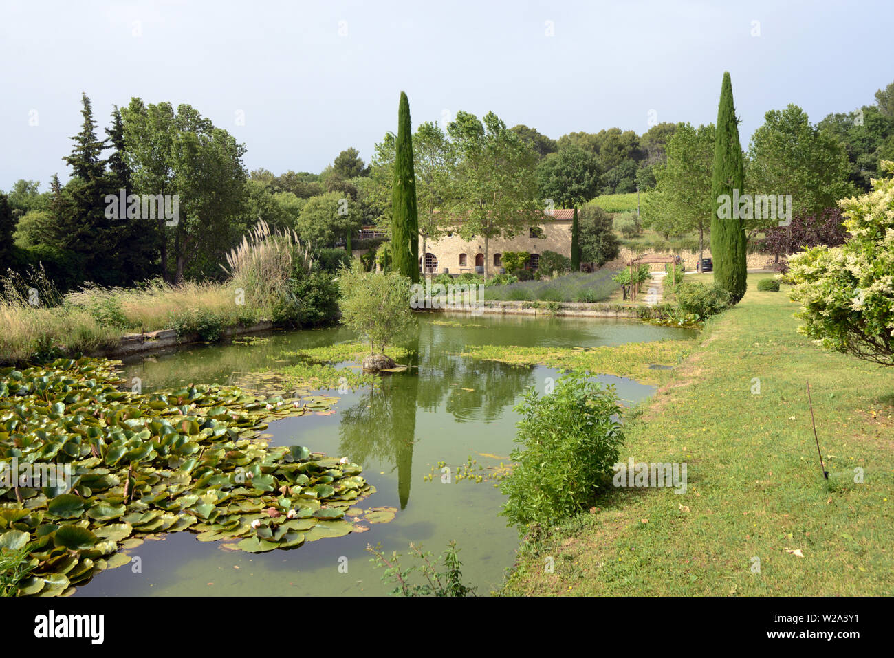 Giardini formali Château La Canorgue Domaine o Wine Estate Bonnieux Luberon Provence. Impostazione della pellicola 2006 Buon anno basato sul romanzo di Peter Mayle Foto Stock