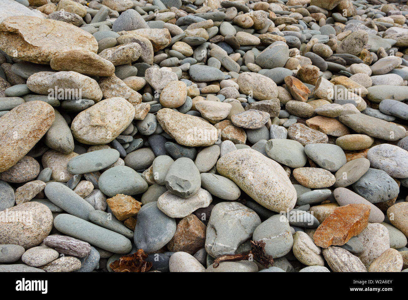 I ciottoli sulla costa della Bretagna Foto Stock