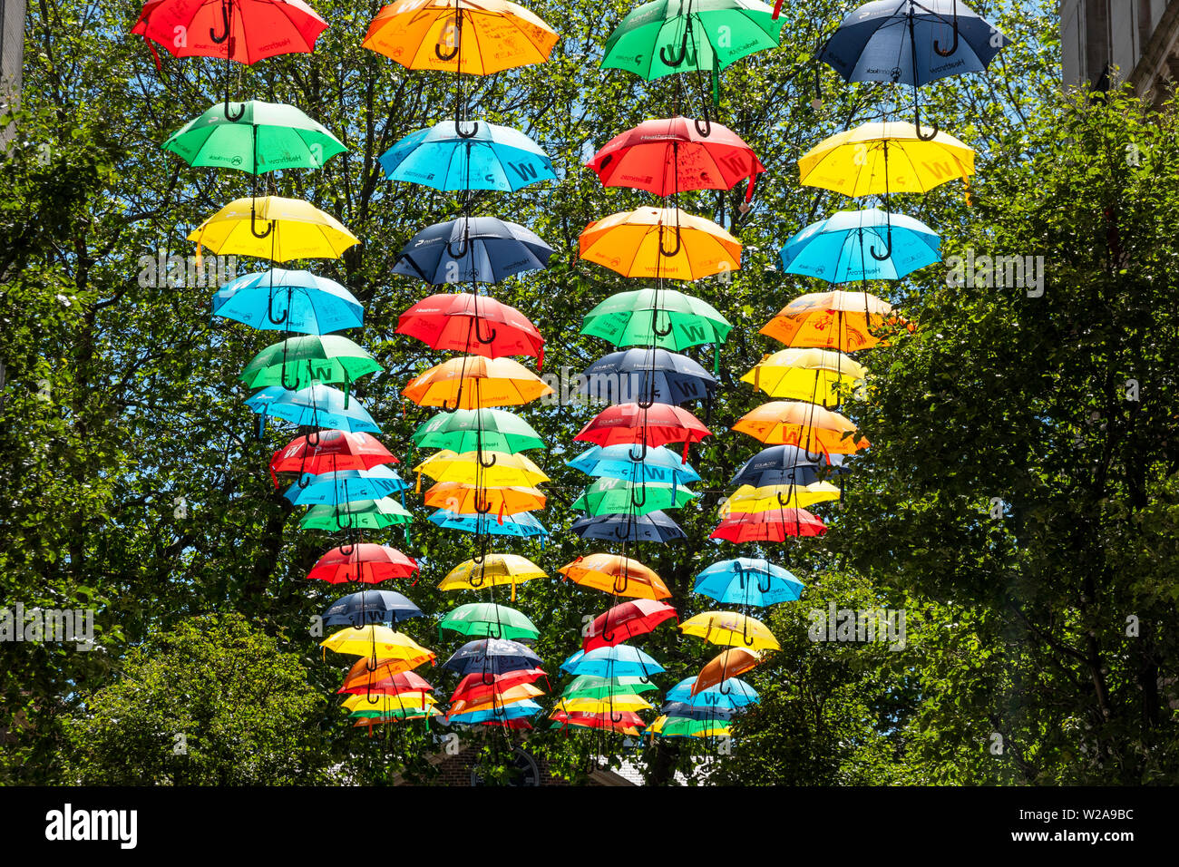 Allegro, display a colori delle colorate ombrelloni su una strada di Liverpool, Regno Unito Foto Stock