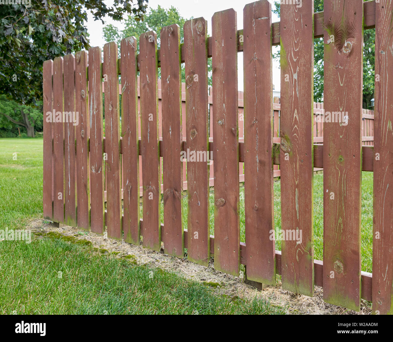 Privacy in legno recinto nel cortile interno con pareti scrostate e macchia. Le alghe verdi, muffe, muschi su pannelli di recinzione Foto Stock