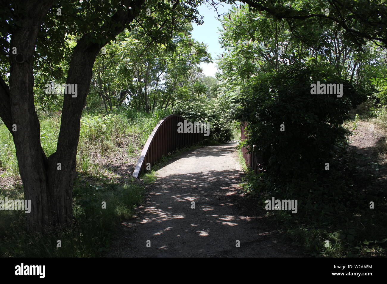 Percorso natura passante su un luminoso giorno d'estate. Foto Stock