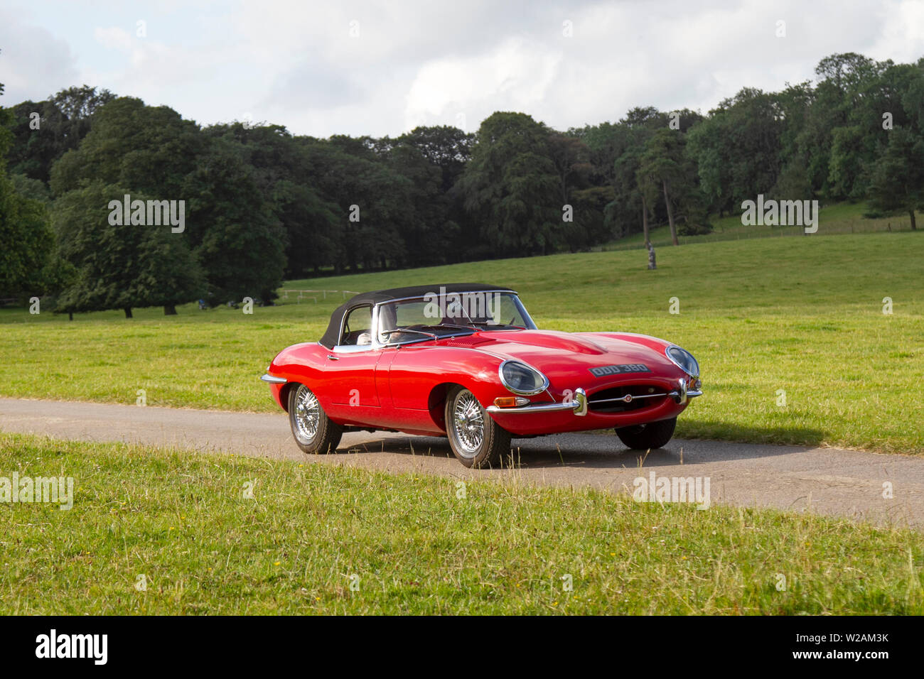 1962 60s anni Sessanta Rosso British Classic Jaguar 'e' tipo 3781cc Roadster convertibile in guida in un parco boschivo, Regno Unito Foto Stock