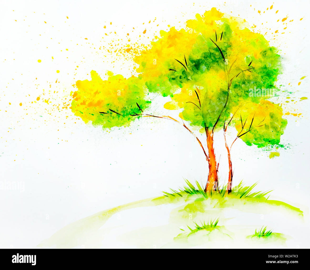 Acquerello disegnato illustrazione del bellissimo albero. Disegnata a mano illustrazione Foto Stock