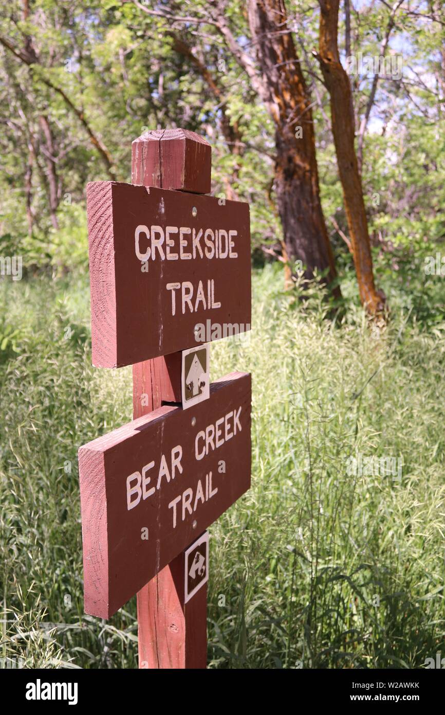 Il sentiero lungo il torrente avanti, Bear Creek Trail, Colorado Foto Stock
