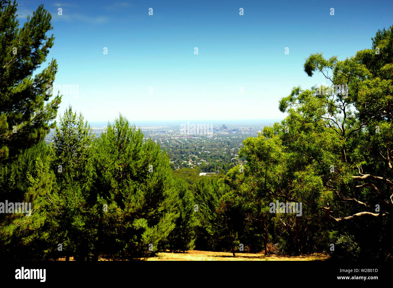 Vedute spettacolari della città di Adelaide, Australia del Sud, incorniciato da alberi e nativa savana Australiana, prese a Skye Lookout. Foto Stock