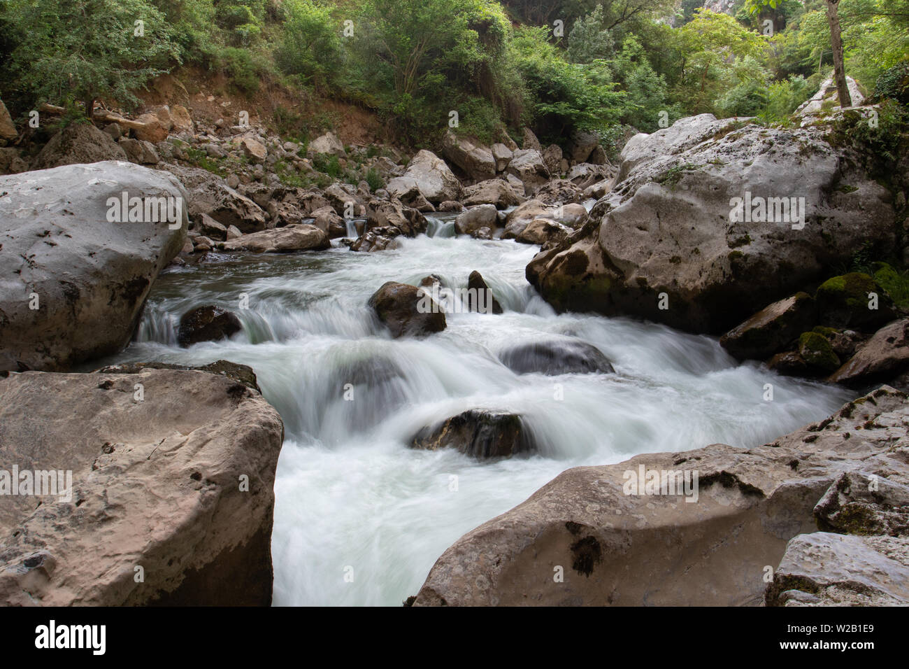 Una cascata di acqua bianca nel Desfiladero de la Hermida (Gola di la Hermida) nel Parco Nazionale Picos de Europa, Spagna Foto Stock