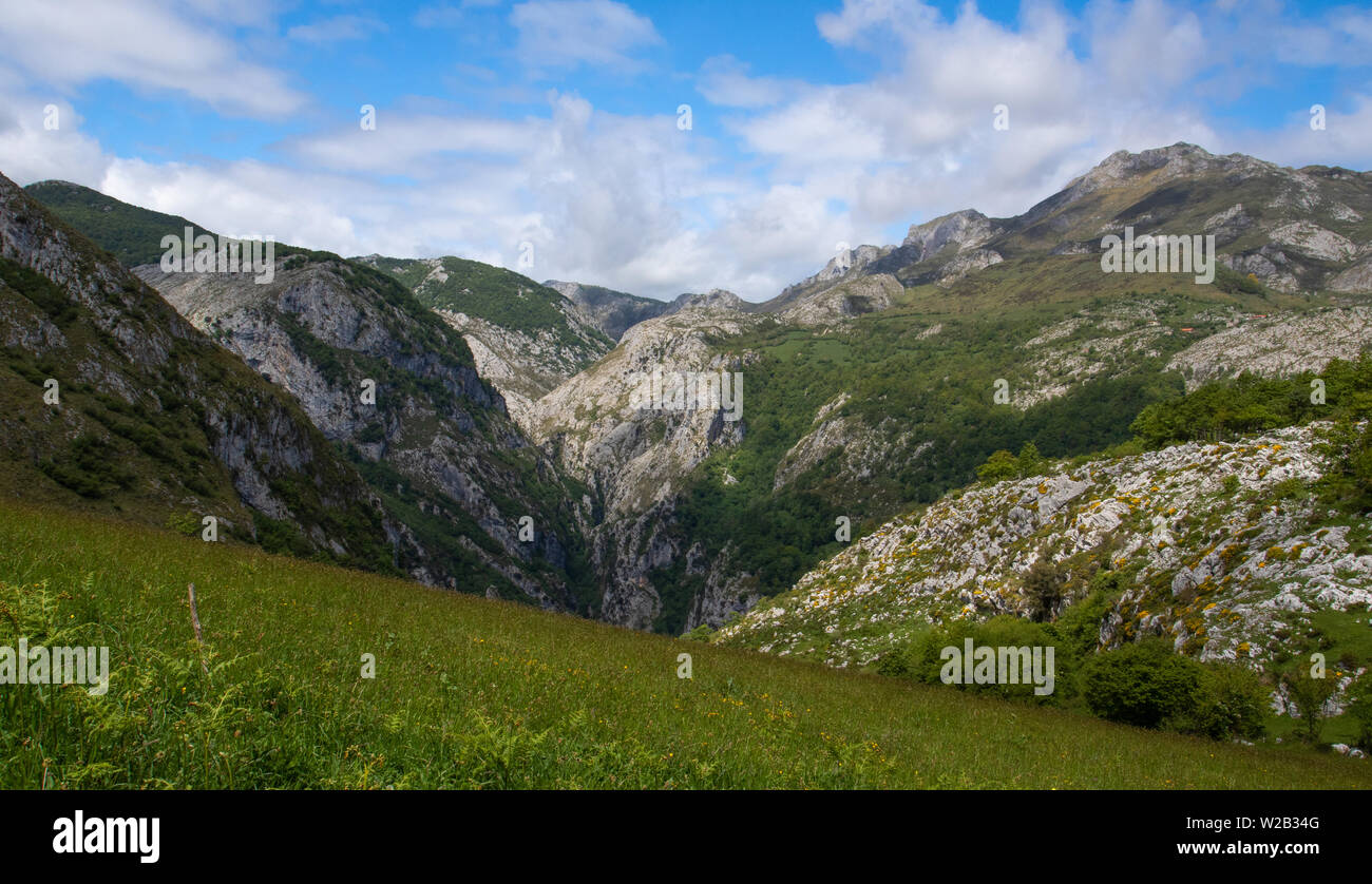 Colline calcaree sopra un pascolo alpino sopra il villaggio di Bejes nel Parco Nazionale Picos de Europa, Spagna Foto Stock