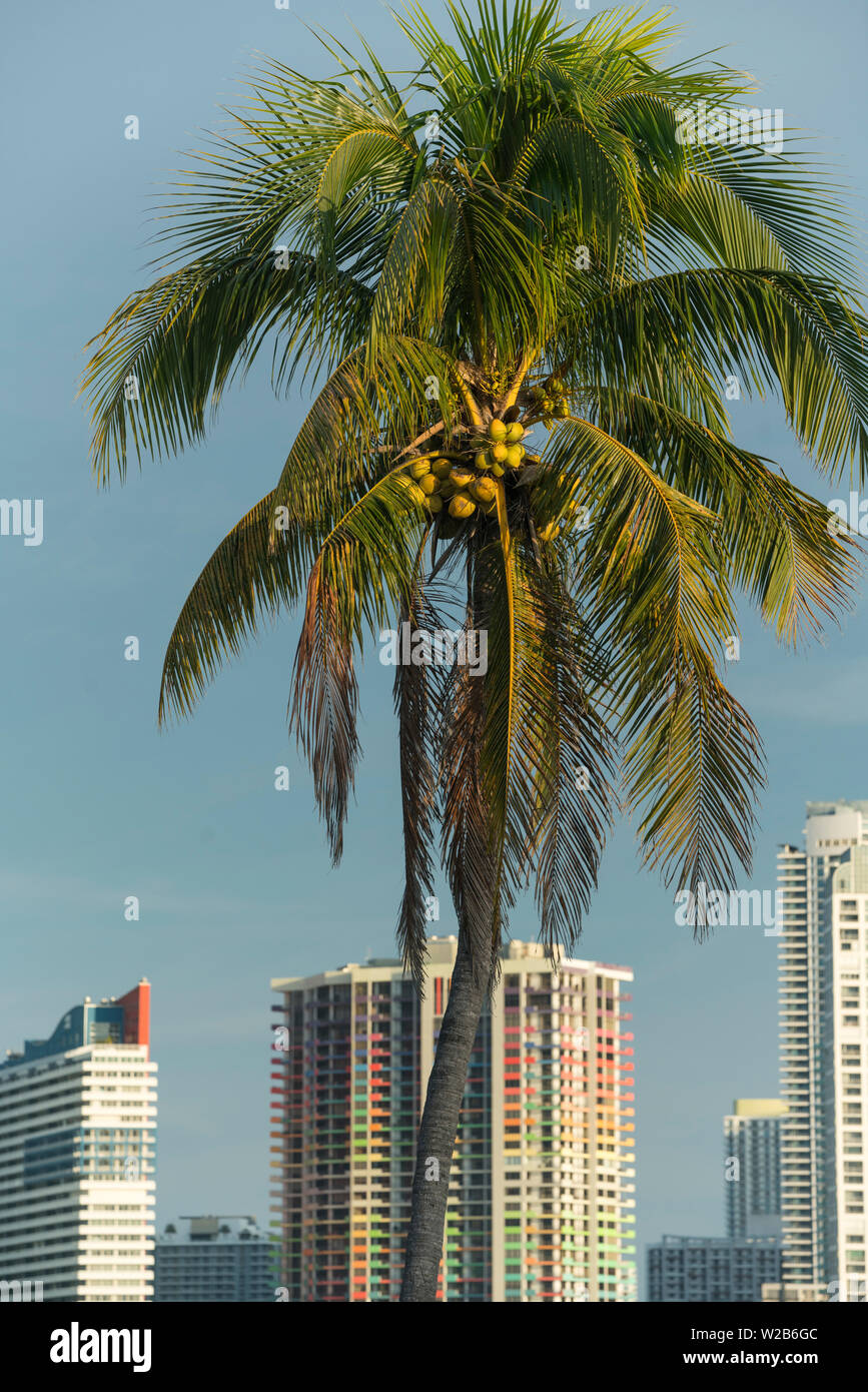 BRICKELL AVENUE lo skyline del centro cittadino di Miami Florida USA Foto Stock