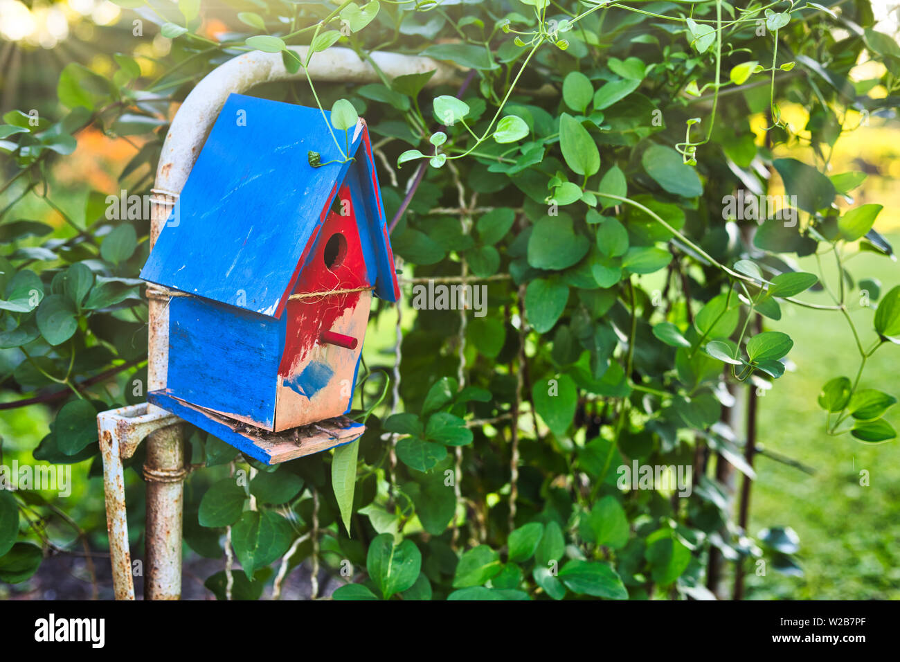 Il rosso e il blu birdhouse sul cancello arrugginito con ivy. La foto dà allo spettatore un down home e la calda sensazione. Include copyspace Foto Stock