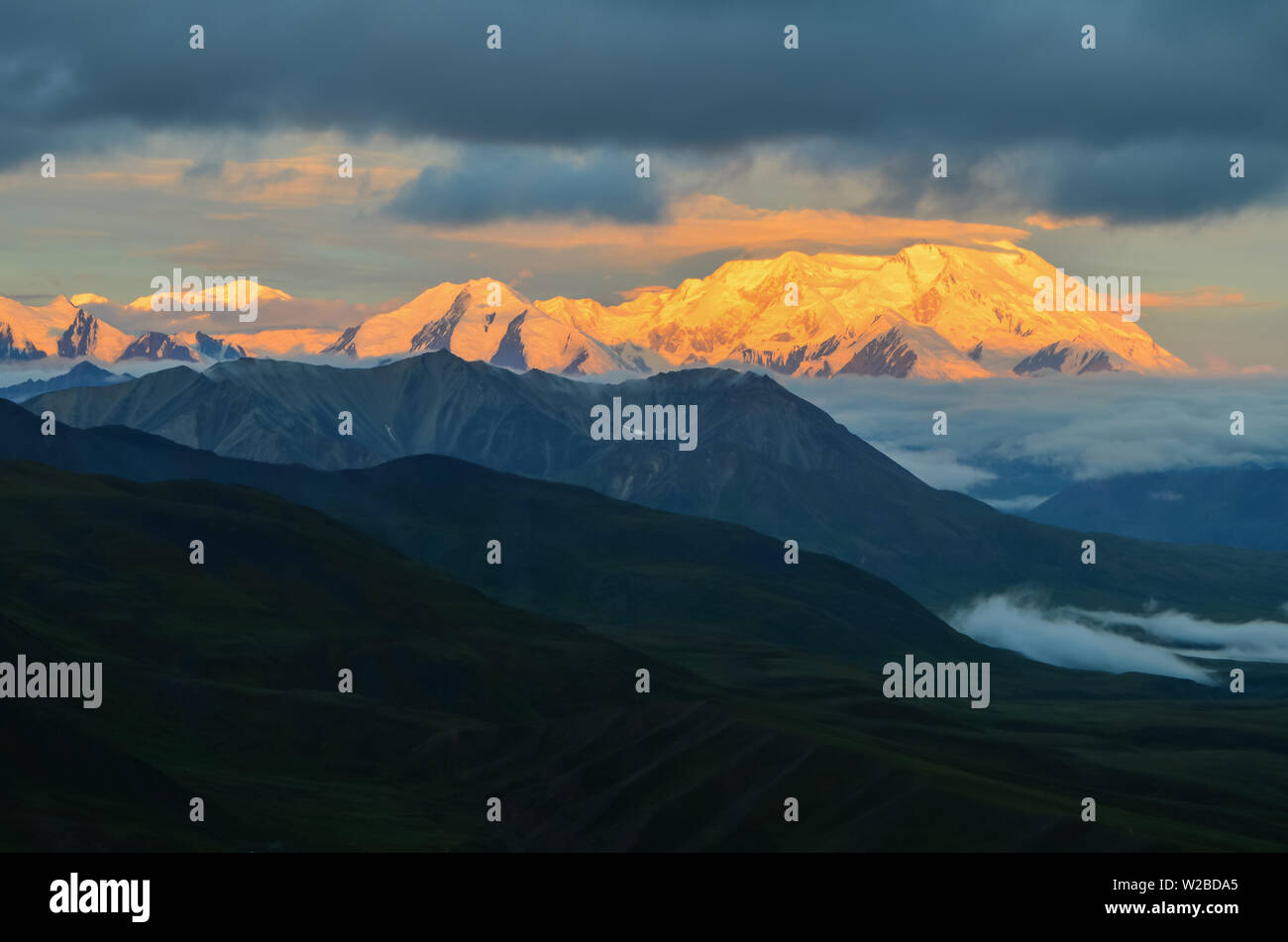 Sunrise vista del monte Denali - mt Mckinley picco con alpenglow durante l ora d'oro dalla cupola pietroso si affacciano. Parco Nazionale di Denali Foto Stock