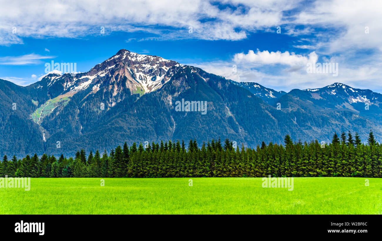 La forma piramidale Cheam montagna, o Cheam picco, che domina il Fraser Valley come si vede dal Lougheed autostrada vicino Agassiz, BC, Canada Foto Stock