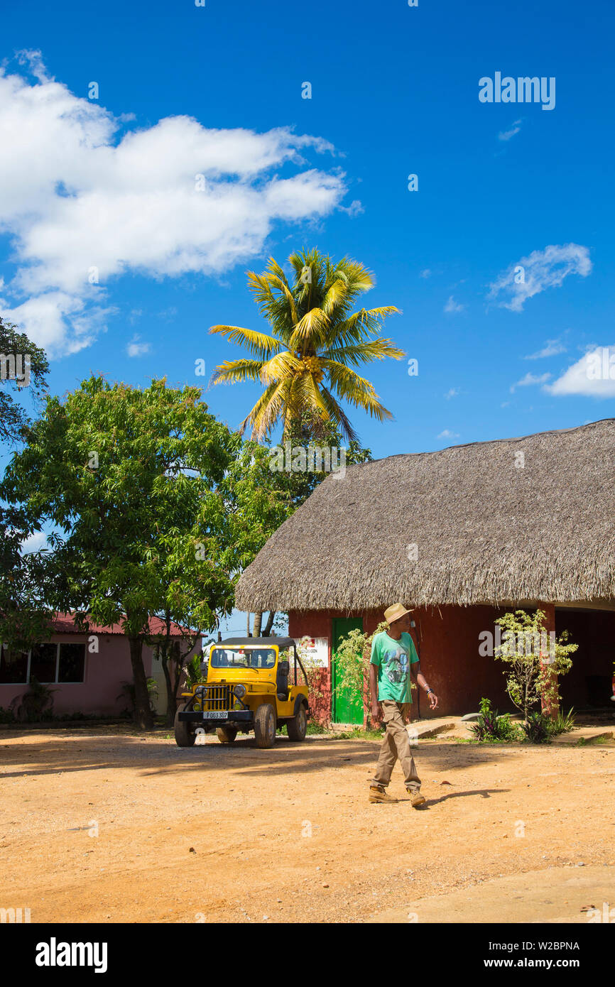 Alejandro Robaina piantagione di tabacco, Pinar del Rio Provincia, Cuba Foto Stock