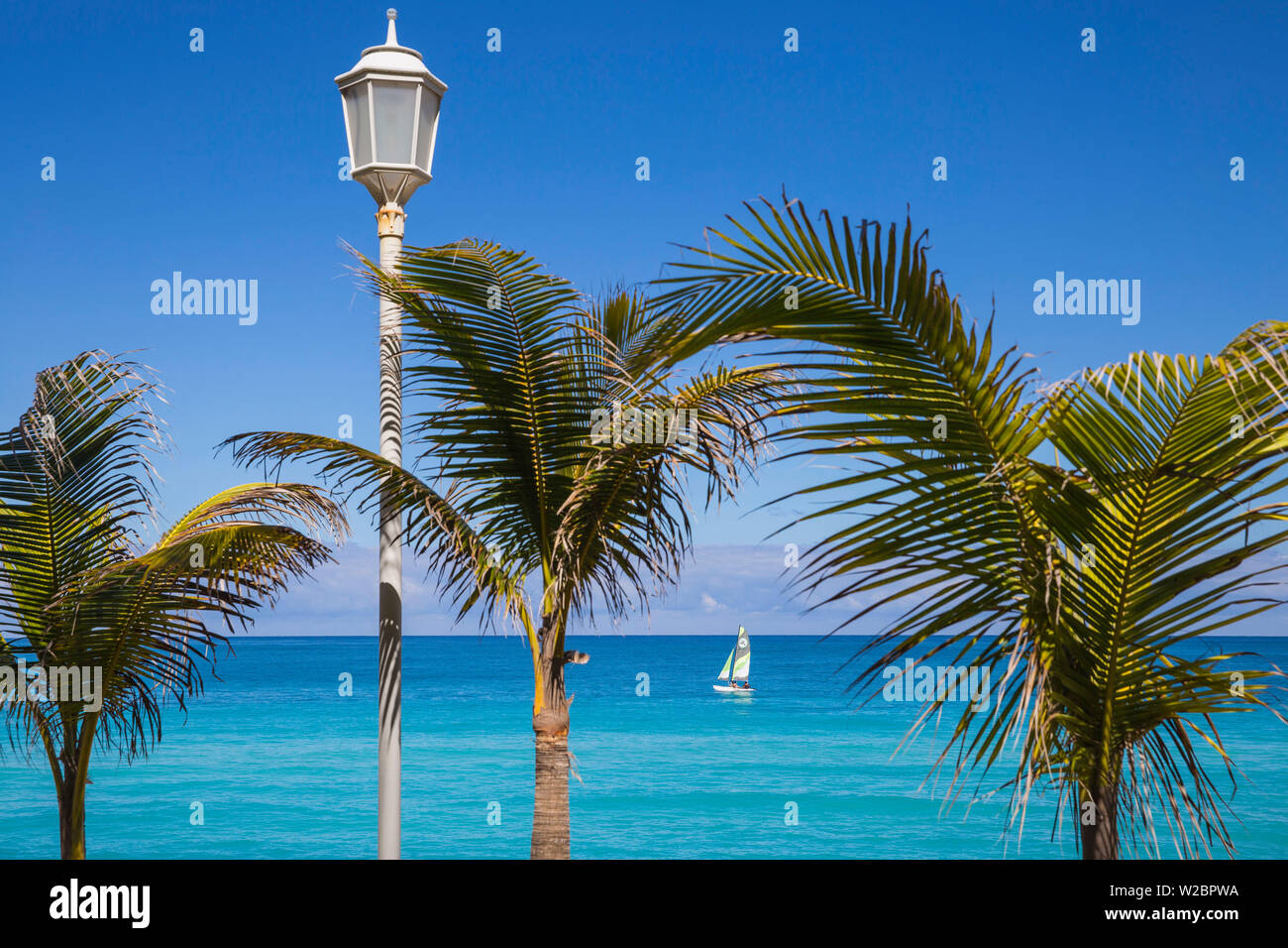 Cuba Varadero, palme sulla spiaggia di Varadero Foto Stock
