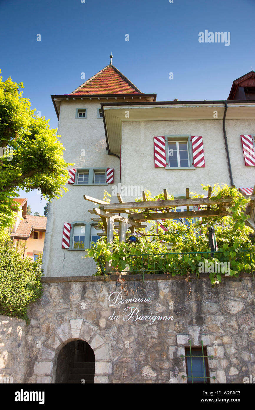 Cantina e Vigneti al di sopra di Vevey, sul Lago di Ginevra, Vaud, Svizzera Foto Stock