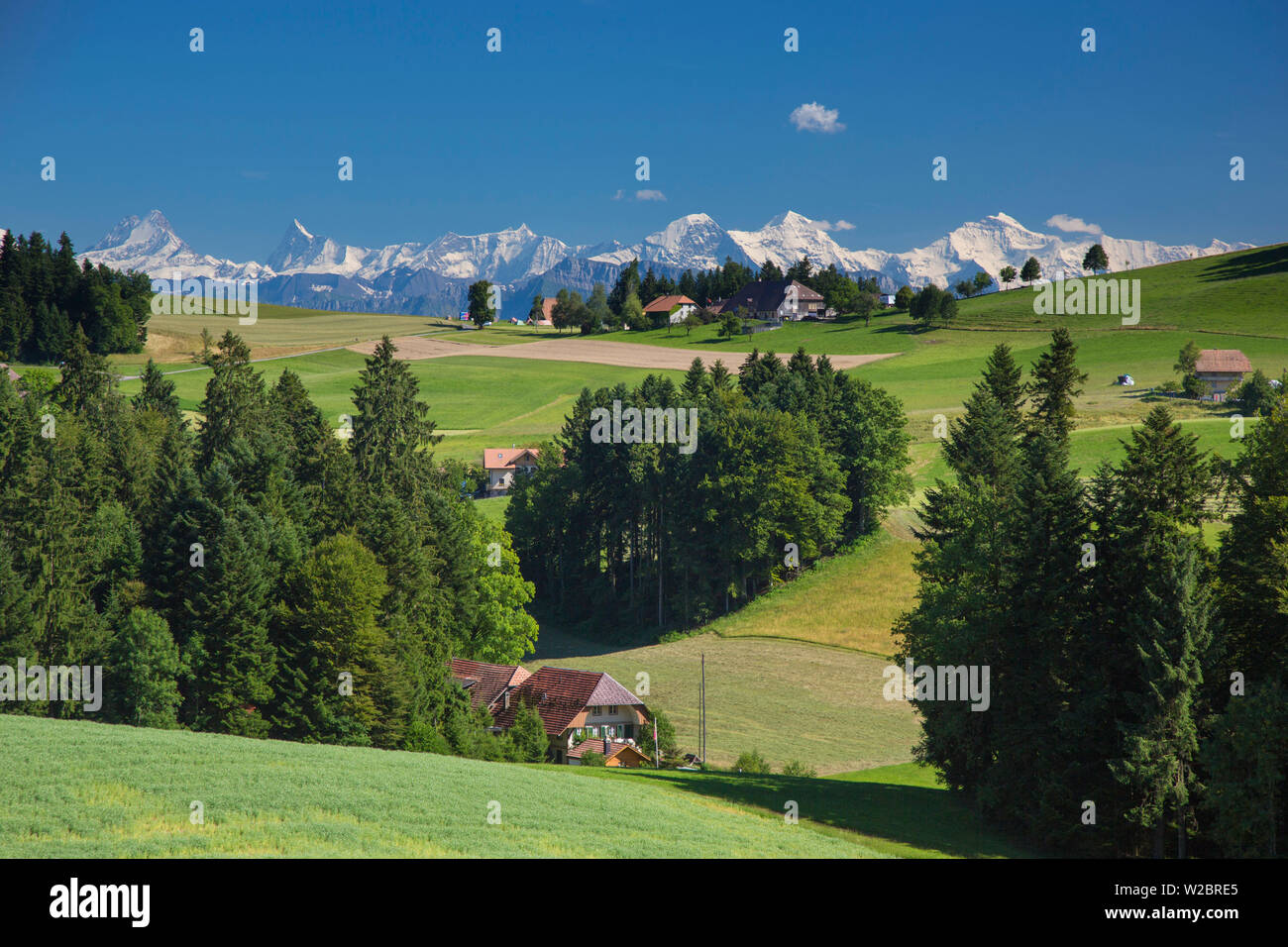 Emmental e alpi svizzere in background, Berner Oberland, Svizzera Foto Stock