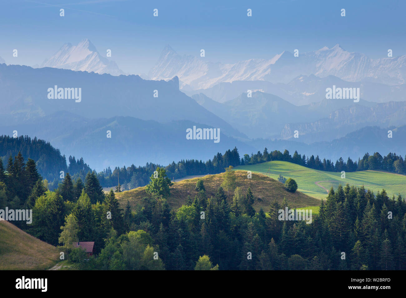Emmental e alpi svizzere in background, Berner Oberland, Svizzera Foto Stock