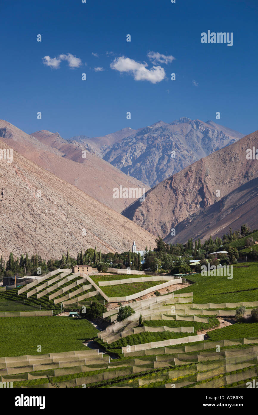 Il Cile, Valle Elqui, Montegrande, frutteti, vista valle Foto Stock