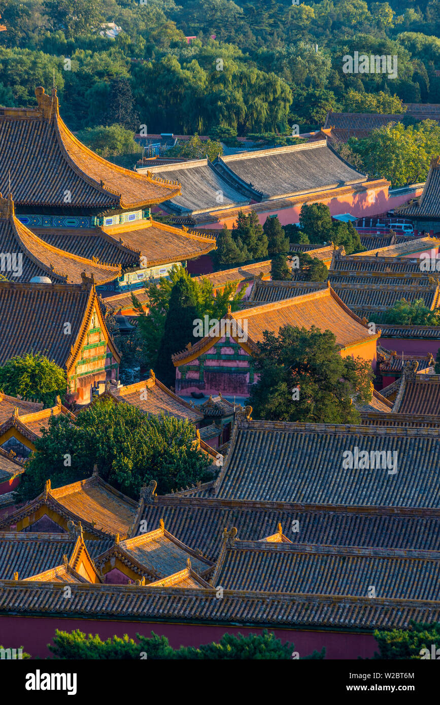 Cina, Pechino, Città Proibita, tetti Foto Stock